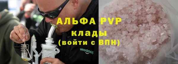 PSILOCYBIN Белокуриха