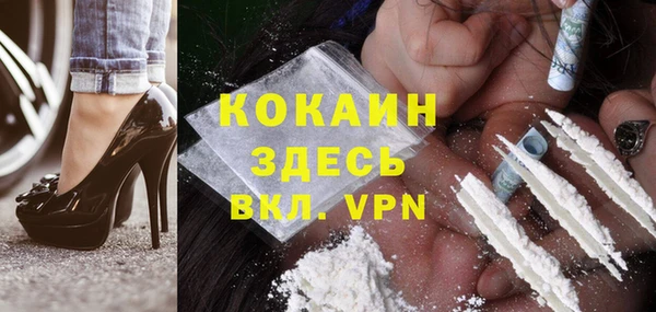 PSILOCYBIN Белокуриха