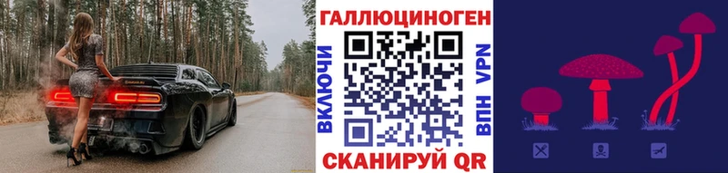 Галлюциногенные грибы GOLDEN TEACHER купить цена Магас